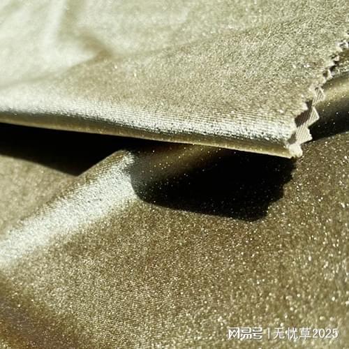 2025加厚金丝绒与印花金丝绒推荐——常熟市龙玉针纺织品直供厂家