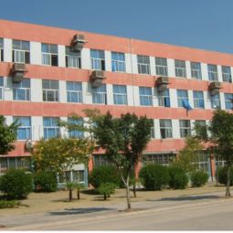 上海自营出口针织打底裤加工 连接淘宝与全球纺织网的产业枢纽